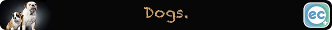 image Dogs